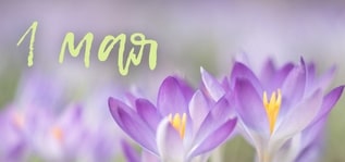 С Днём весны и труда