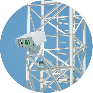 ДЛС и Тепловизор