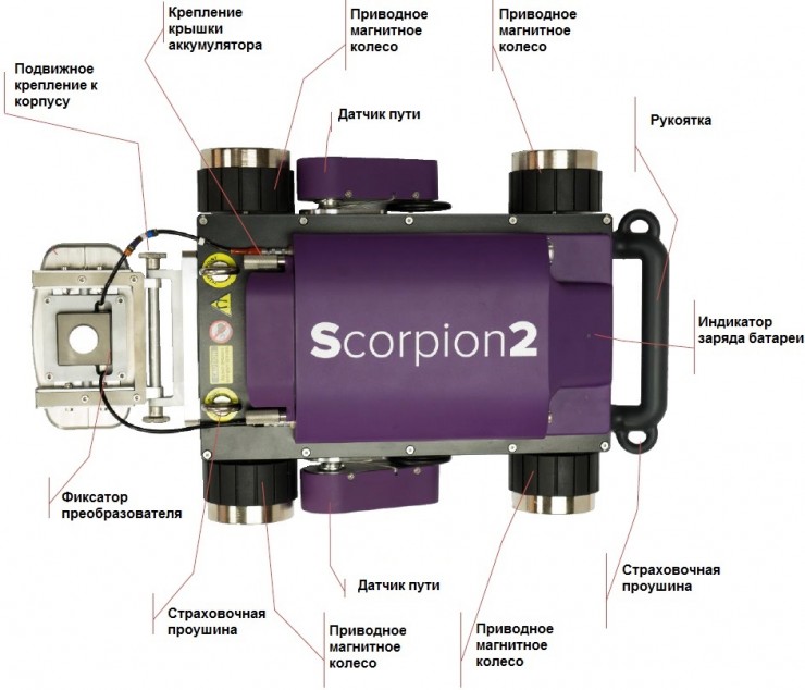 Silverwing Scorpion2