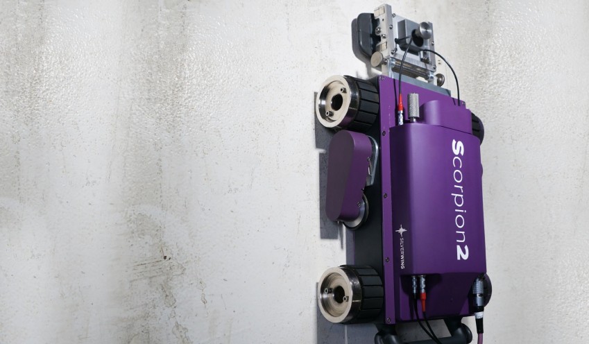 Silverwing Scorpion2