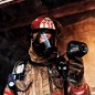 Пожарный с тепловизором FLIR K2